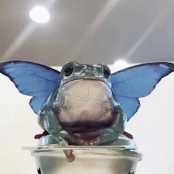 Meet your Posher, oliro - Picture 2 of 2